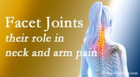 Johnson Chiropractic thoroughly examines, diagnoses, and treats cervical spine facet joints for neck pain relief when they are involved.