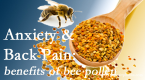 Johnson Chiropractic presents info on the benefits of bee pollen on cognitive function that may be impaired when dealing with back pain.
