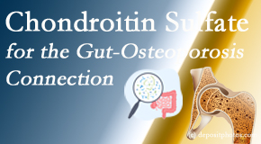 Johnson Chiropractic presents new research linking microbiota in the gut to chondroitin sulfate and bone health and osteoporosis.