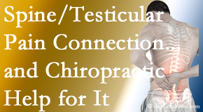 Johnson Chiropractic shares recent research on the connection of testicular pain to the spine and how chiropractic care helps its relief.