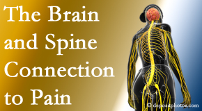 Johnson Chiropractic shares at the connection between the brain and spine in back pain patients to better help them find pain relief.