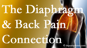 Johnson Chiropractic knows the relationship of the diaphragm to the body and spine and back pain. 