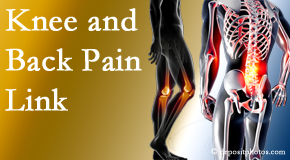 Johnson Chiropractic treats back pain and knee osteoarthritis to help avert falls.