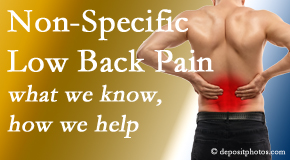 Johnson Chiropractic share the specific characteristics and treatment of non-specific low back pain. 