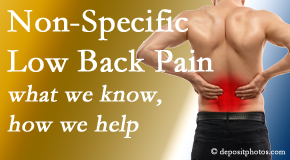 Johnson Chiropractic describes the specific characteristics and treatment of non-specific low back pain.