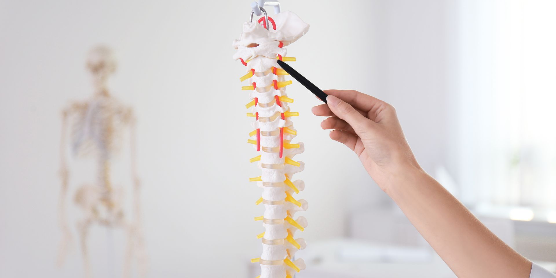 Johnson Chiropractic - Chiropractic in New Castle, IN, view 7