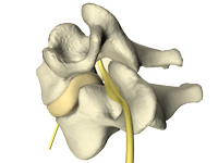 cervical spine no pain with Richmond chiropractic