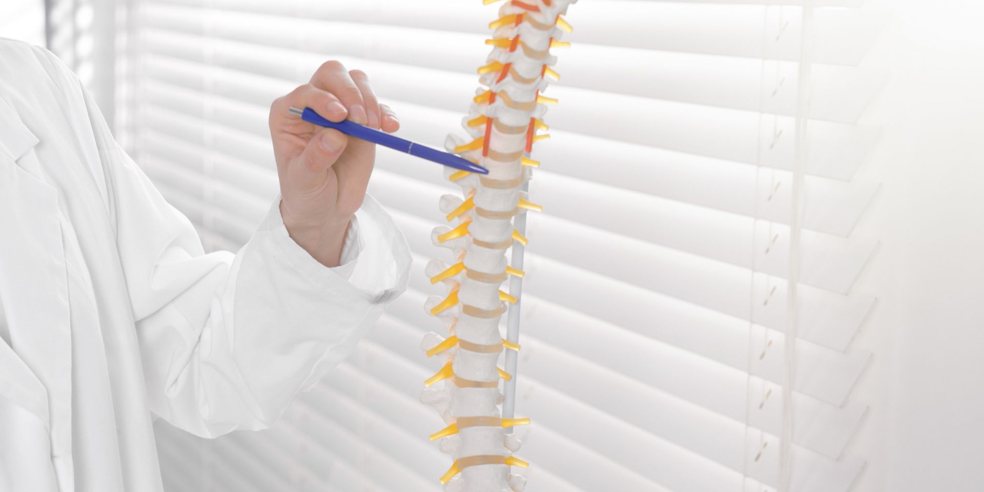 Johnson Chiropractic - Chiropractic in New Castle, IN, view 8
