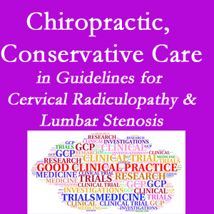 Richmond chiropractic care for cervical radiculopathy and lumbar spinal stenosis is often ignored in medical studies and recommendations despite documented benefits. 