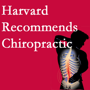 Johnson Chiropractic offers chiropractic care like Harvard recommends.