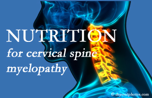 Johnson Chiropractic presents the nutritional factors in cervical spine myelopathy in its development and management.