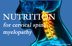 Johnson Chiropractic shares the nutritional factors in cervical spine myelopathy in its development and management.