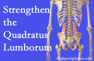 Richmond chiropractic care proposes exercise recommendations to strengthen spine muscles like the quadratus lumborum as the back heals and recovers.