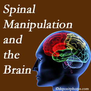 Johnson Chiropractic [shares research on the benefits of spinal manipulation for brain function. 