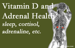 Johnson Chiropractic shares new studies about the effect of vitamin D on adrenal health and function.